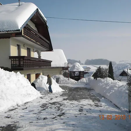 Spacious Countryside Flat - 25 Minutes From Ljubljana *